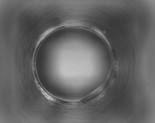 X0000081301485200701111411