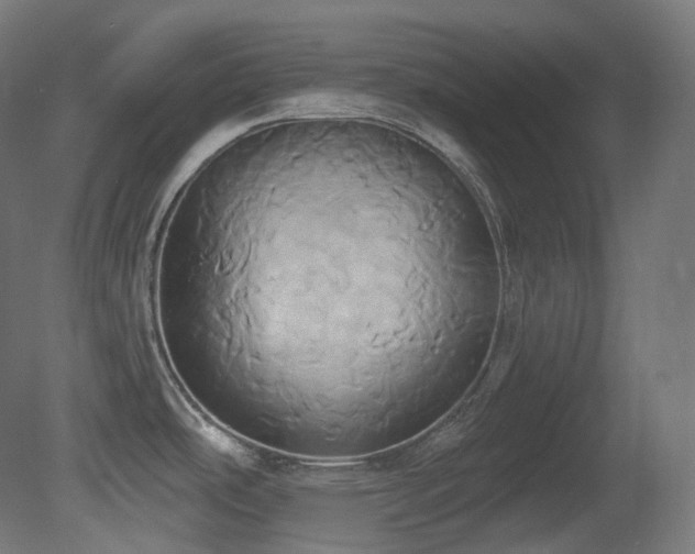 X0000081301486200701111411