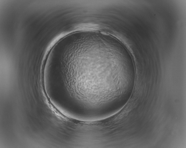 X0000081301488200701111411