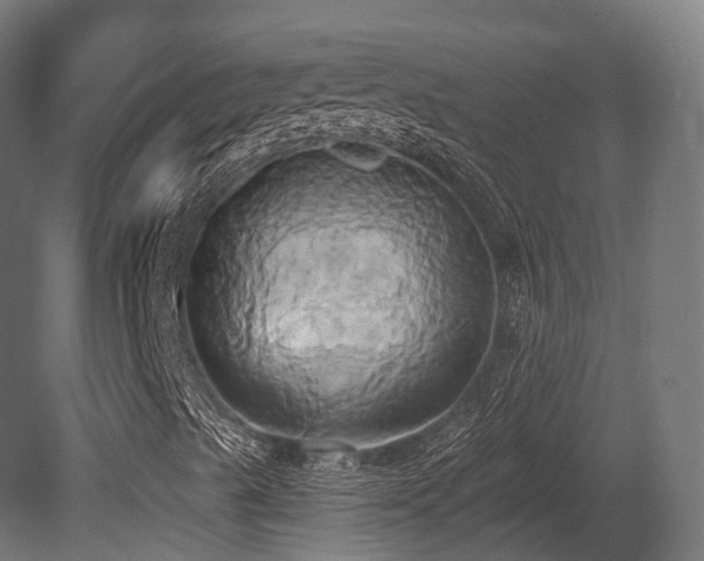X0000081301489200701111411