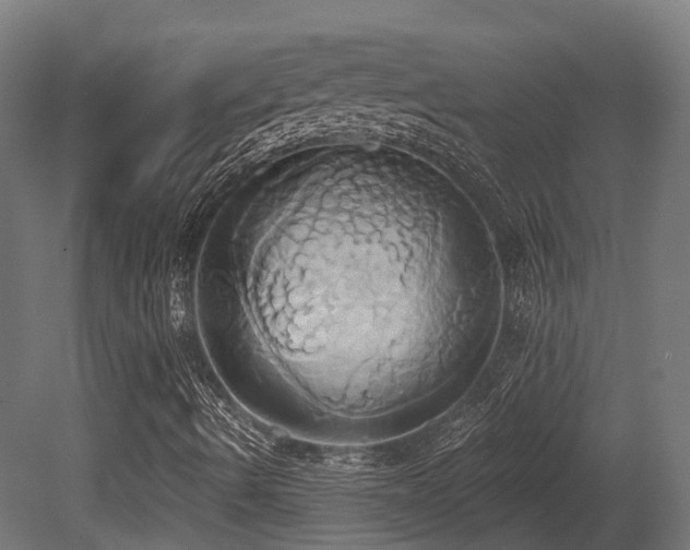 X0000081301490200701111411