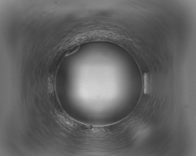 X0000081301491200701111411