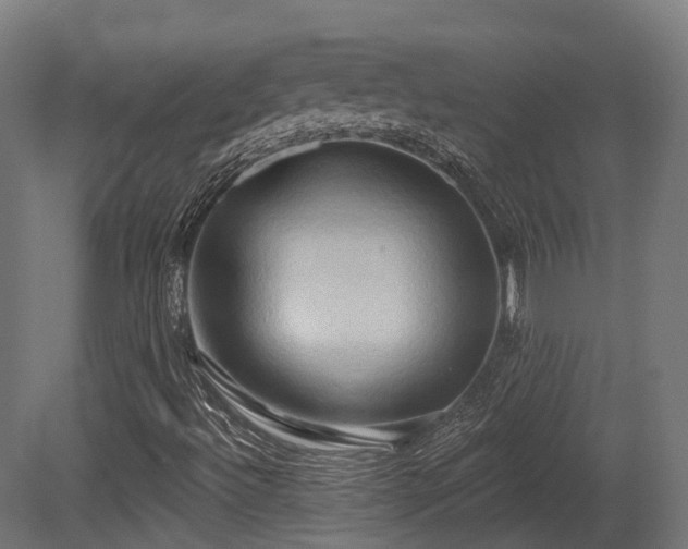 X0000081301492200701111411