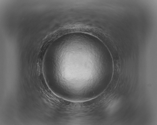 X0000081301493200701111411