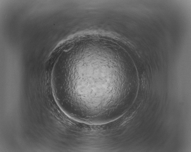 X0000081301494200701111411