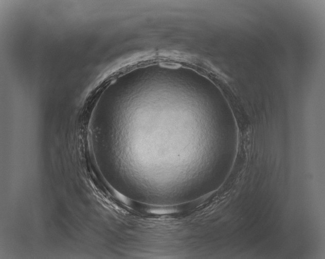 X0000081301496200701111411