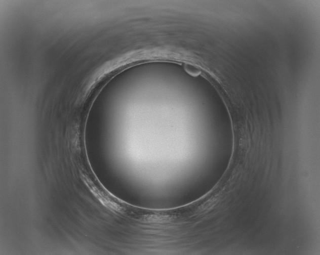 X0000081301499200701111411