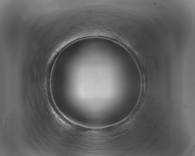 X0000081301500200701111411