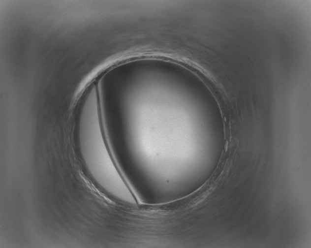 X0000081301502200701111411