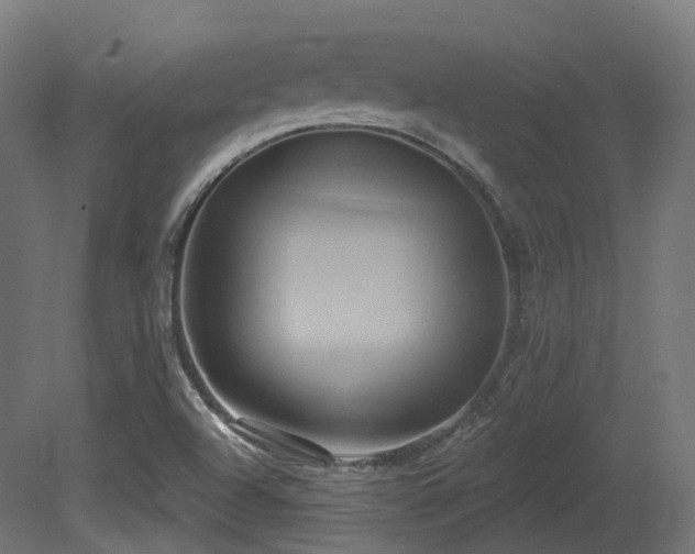 X0000081301504200701111411