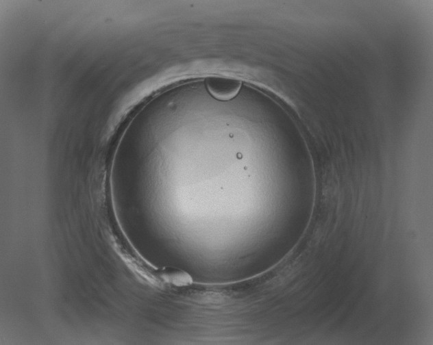 X0000081301507200701111411
