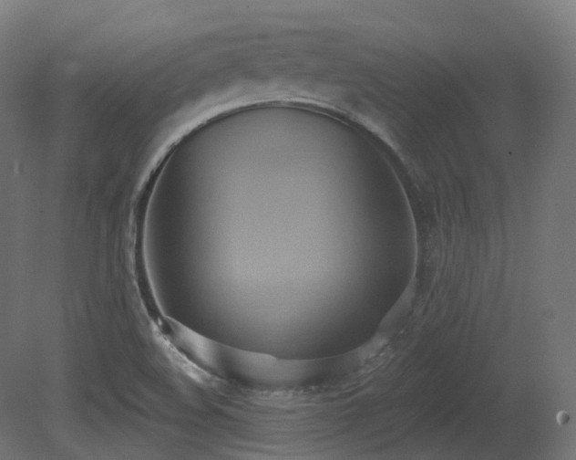 X0000081301508200701111411