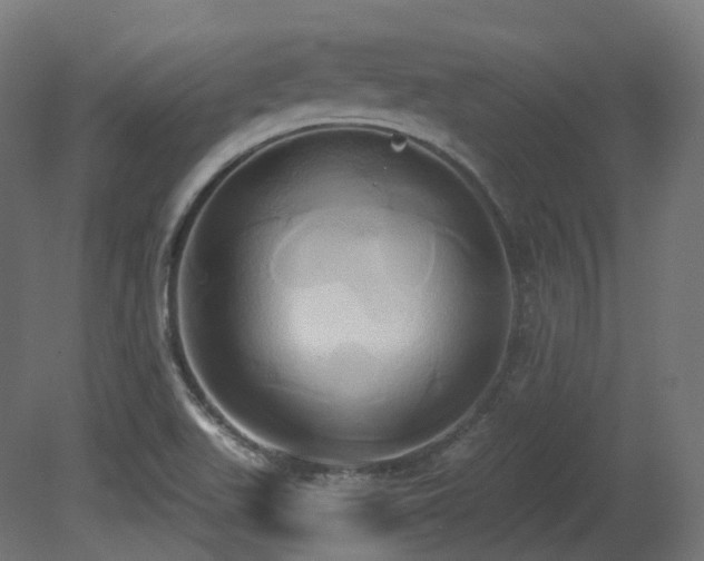 X0000081301511200701111411