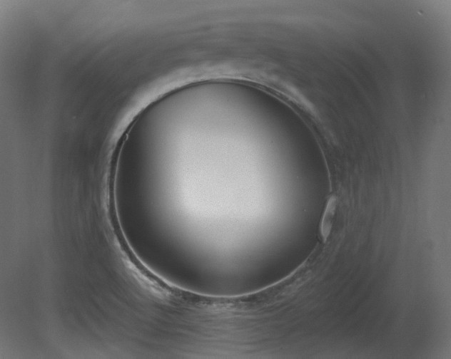 X0000081301512200701111411