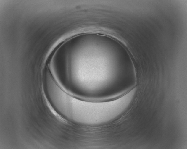 X0000081301515200701111411
