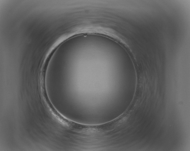 X0000081301517200701111411
