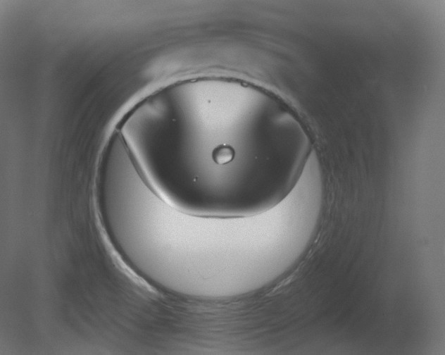 X0000081301518200701111411
