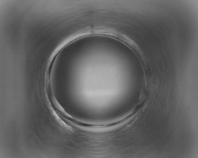 X0000081301520200701111411