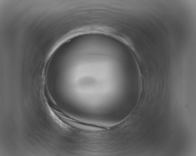 X0000081301524200701111411