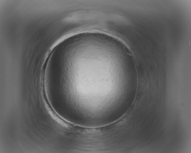 X0000081301526200701111411