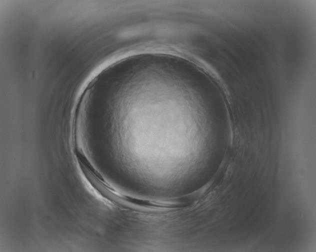 X0000081301528200701111411