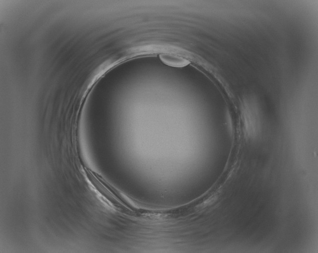 X0000081301529200701111411