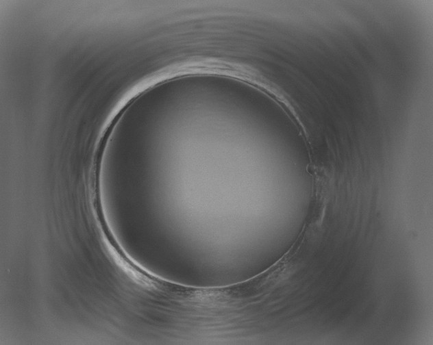 X0000081301531200701111411
