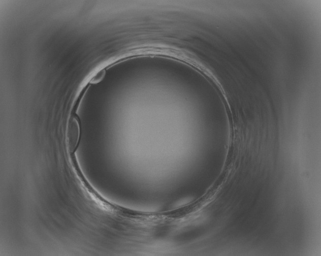 X0000081301533200701111411