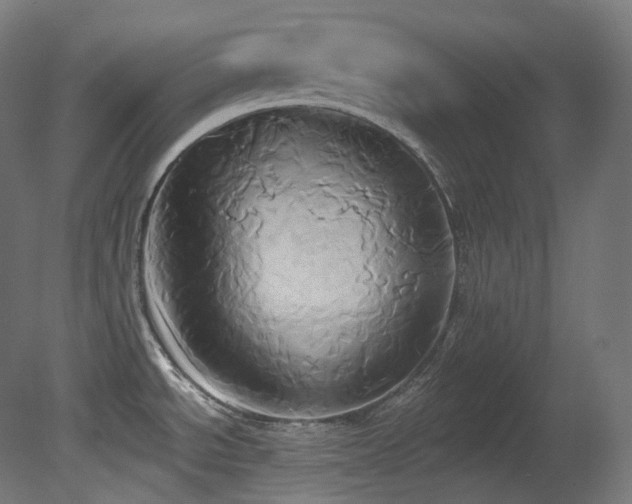 X0000081301534200701111411