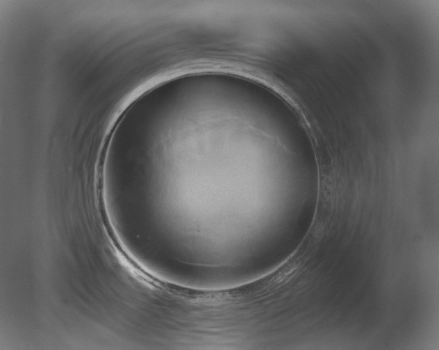 X0000081301535200701111411