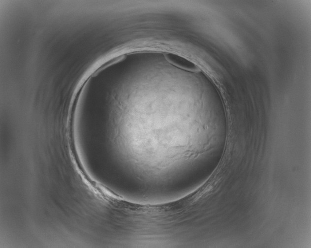 X0000081301536200701111411