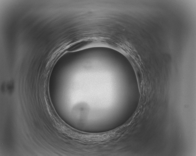 X0000081300001200701181847