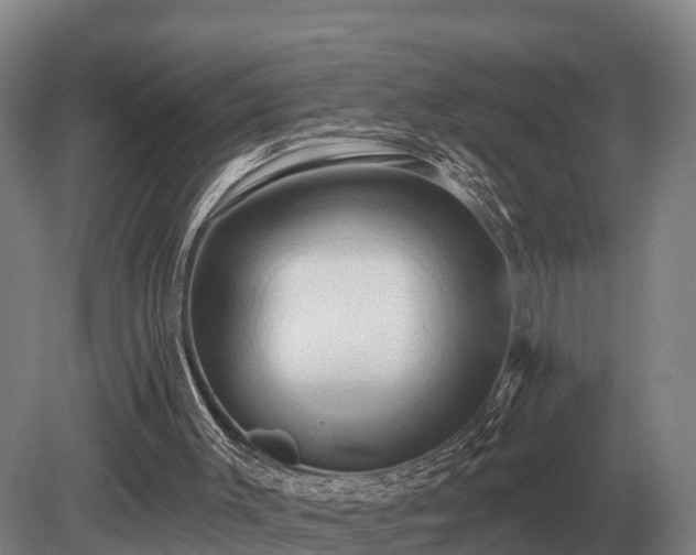 X0000081300003200701181847