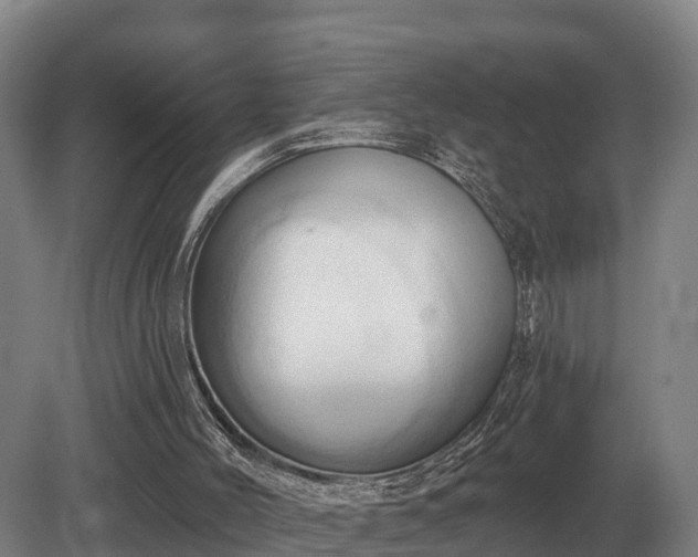 X0000081300004200701181847