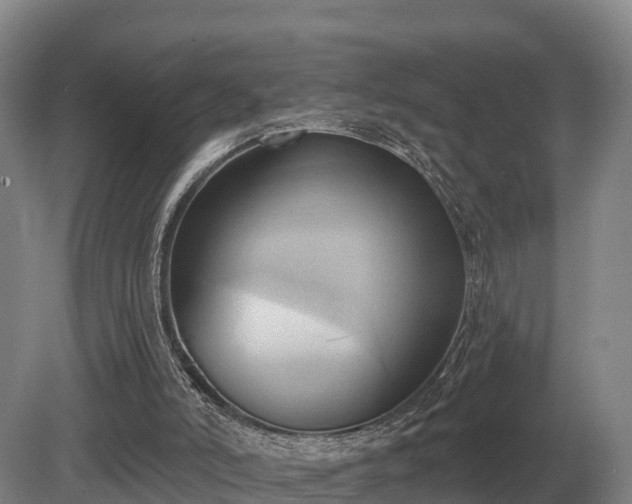 X0000081300006200701181847