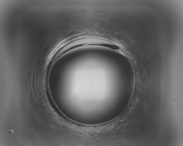 X0000081300007200701181847