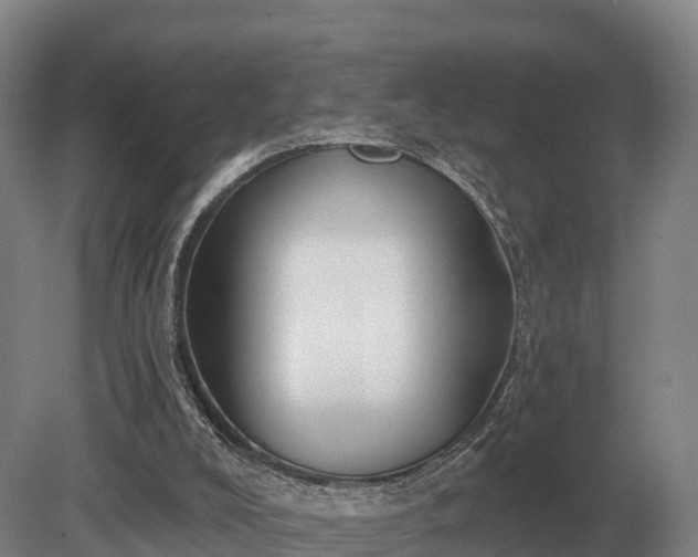 X0000081300008200701181847