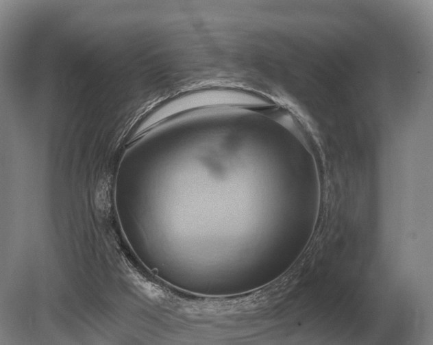 X0000081300009200701181847