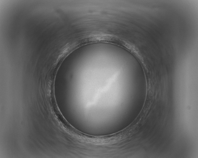 X0000081300010200701181847