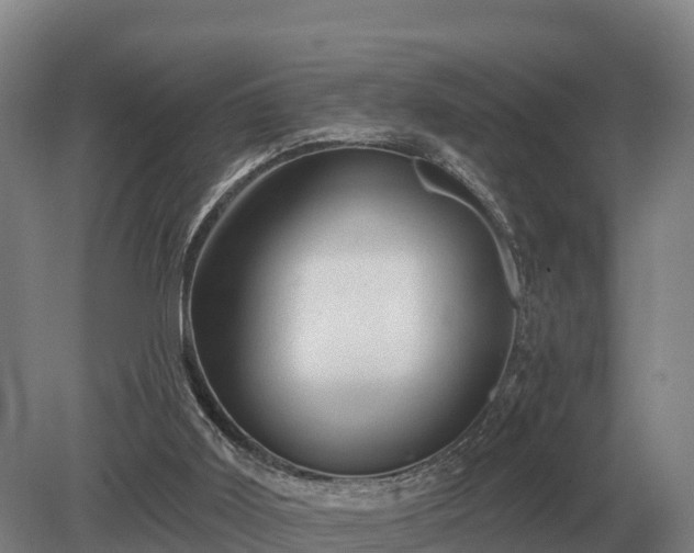 X0000081300011200701181847