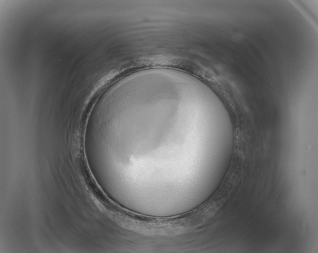 X0000081300012200701181847