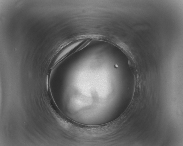 X0000081300013200701181847