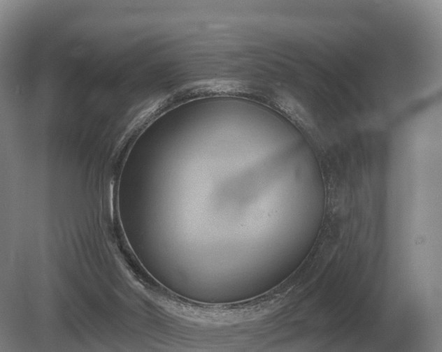 X0000081300014200701181847