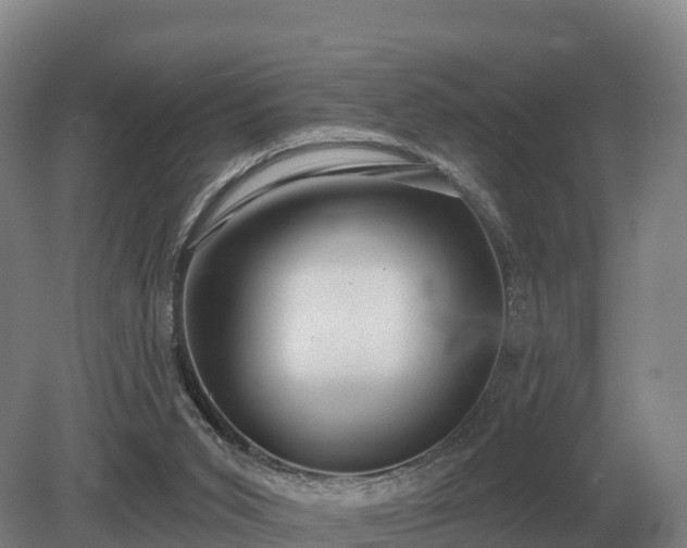 X0000081300015200701181847