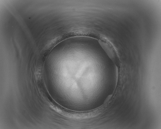 X0000081300017200701181847