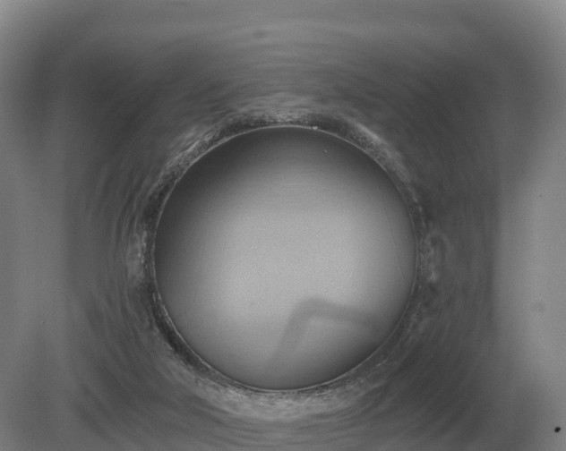 X0000081300018200701181847