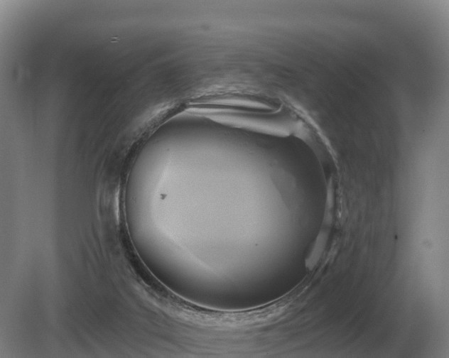 X0000081300019200701181847