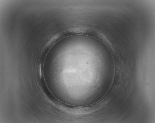 X0000081300020200701181847