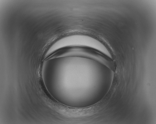 X0000081300023200701181847