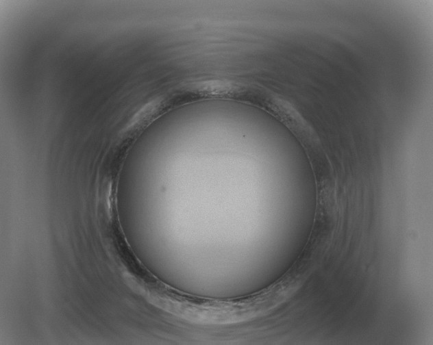 X0000081300024200701181847